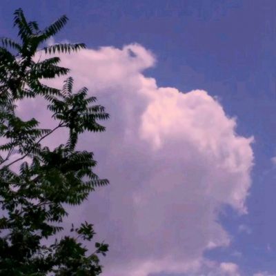 bsport体育在线登录下载手机版